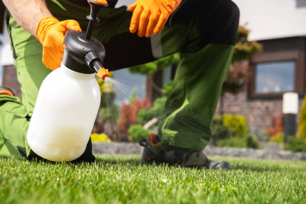 Best Pest Prevention Services  in University Park, TX