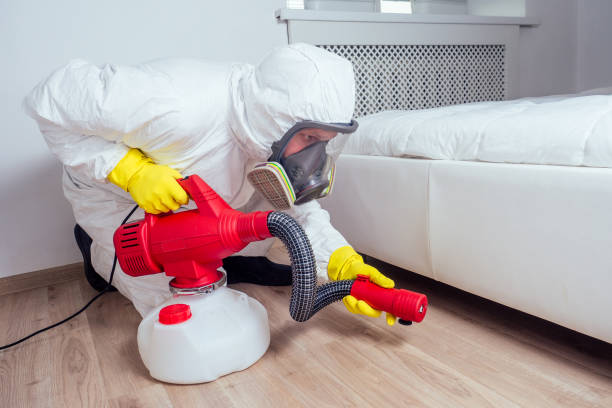 Best Pest Control Near Me  in University Park, TX