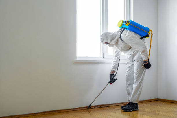 Best Pest Control Treatment  in University Park, TX