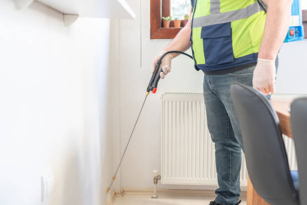 Best Wasp Removal Services  in University Park, TX