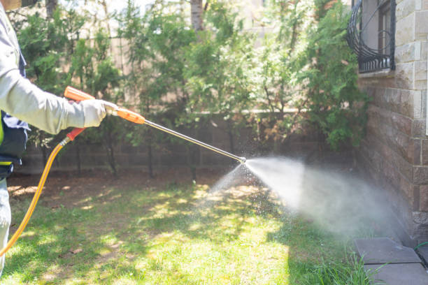 Best Local Pest Control Services  in University Park, TX