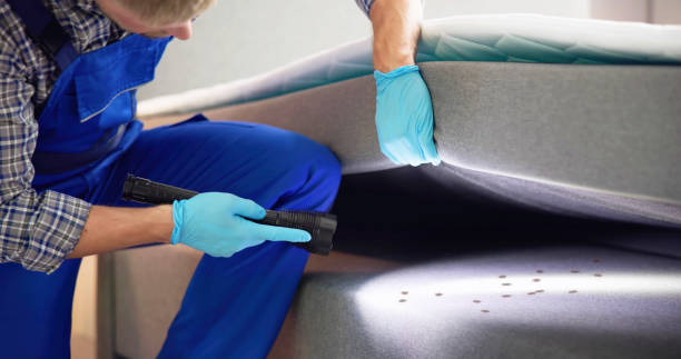 Best Bed Bug Extermination  in University Park, TX