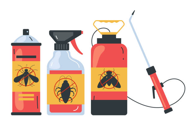 Best Ant Control Services  in University Park, TX