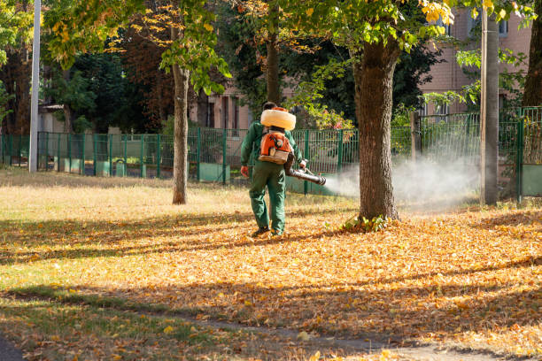Best Cockroach Control Services  in University Park, TX
