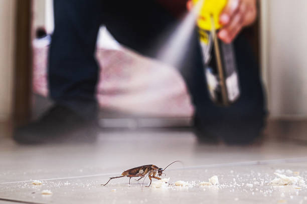 Professional Pest Control in University Park, TX