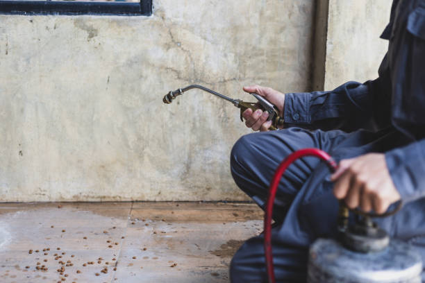 Best Termite Control Services  in University Park, TX