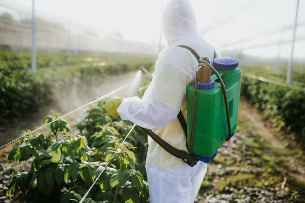 Pest Prevention Services in University Park, TX